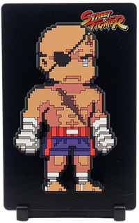 Magnetic Backplate