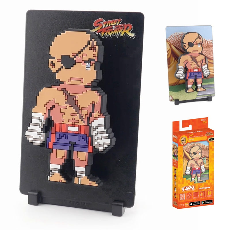 Sagat #206 - Street Fighter 2